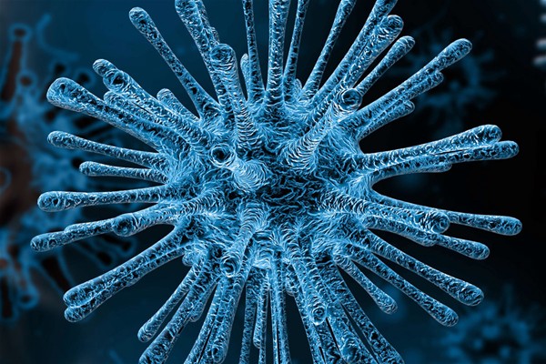 CORONAVIRUS